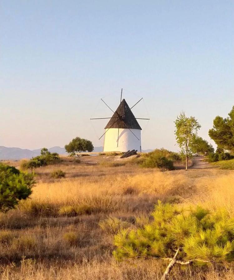 Cortijo Los Garridos - 8 Huespedes Fernan Perez Dış mekan fotoğraf