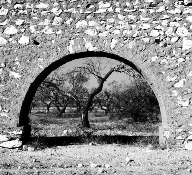 Cortijo Los Garridos - 8 Huespedes Fernan Perez Dış mekan fotoğraf