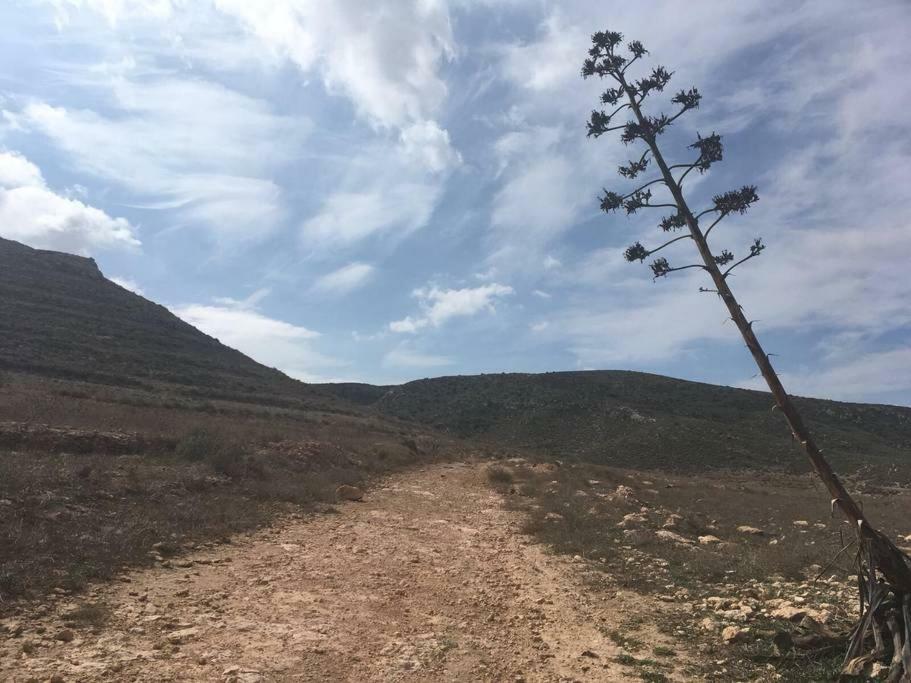 Cortijo Los Garridos - 8 Huespedes Fernan Perez Dış mekan fotoğraf