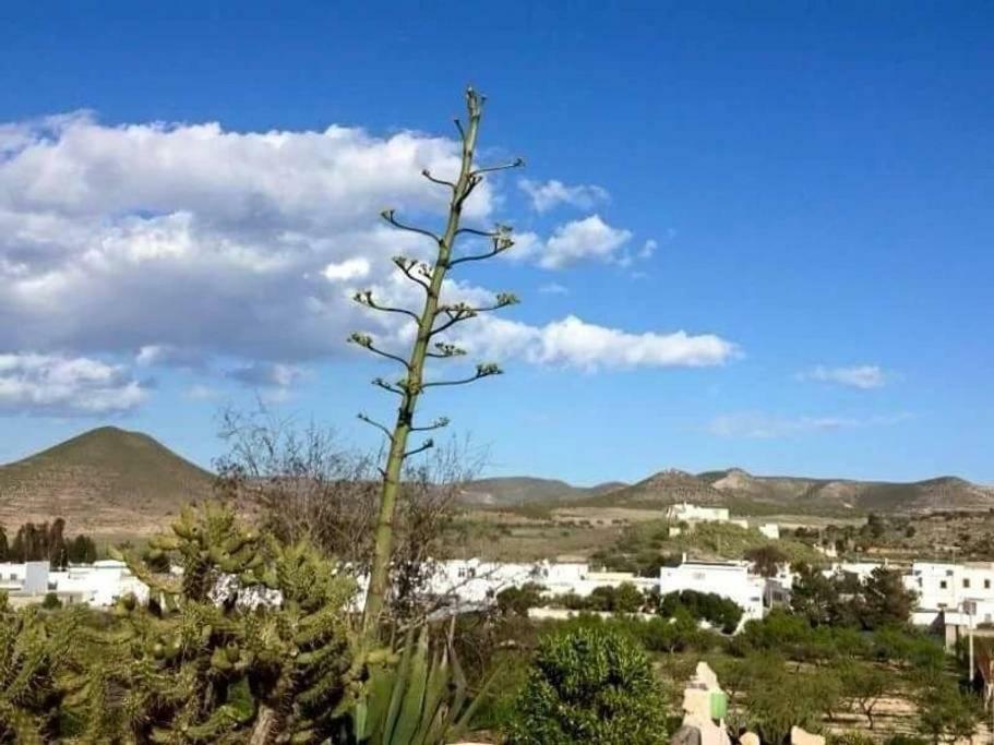 Cortijo Los Garridos - 8 Huespedes Fernan Perez Dış mekan fotoğraf